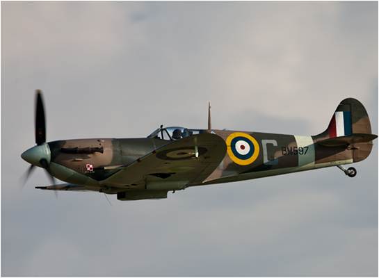 Supermarine Spitfire Mk Vb BM597 pictures